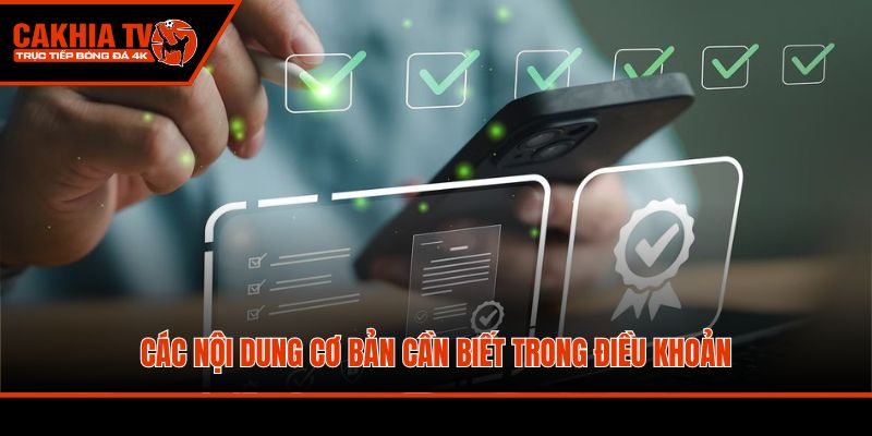 Các nội dung cơ bản cần biết trong điều khoản