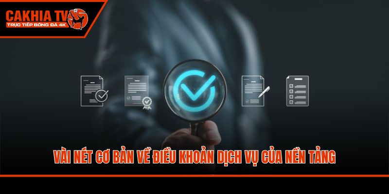 Vài nét cơ bản về điều khoản dịch vụ của nền tảng