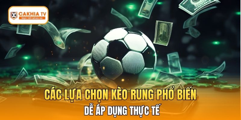 Các lựa chọn kèo rung phổ biến dễ áp dụng thực tế