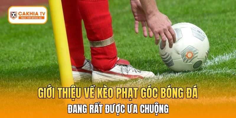 Giới thiệu về kèo phạt góc bóng đá đang rất được ưa chuộng